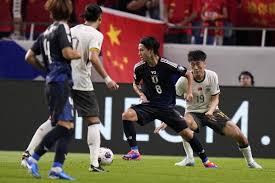 国内的影响